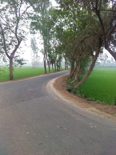 Photos of Tin Matha Bizrul