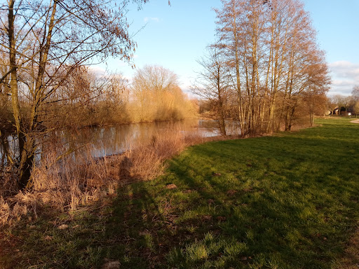 Osterkamp - Visual