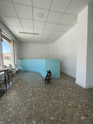 Vegavet Clínica Veterinaria