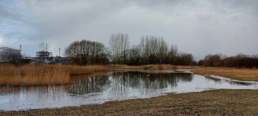 Parkeren Natuurpark NAM De Noorderriet - Thumbnail