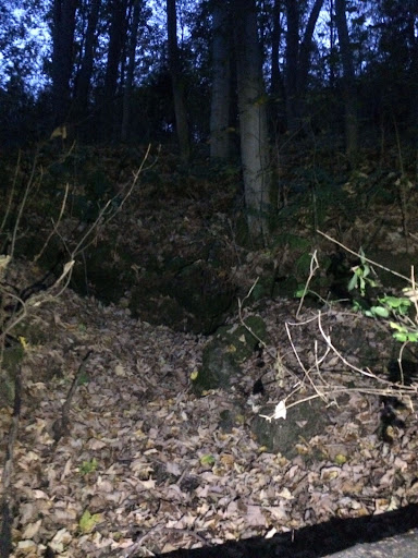 Tuffstein bei Büren