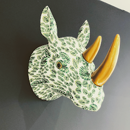 Photo n°4 de Molitor Junior à Épernay (Magasin de chaussures)