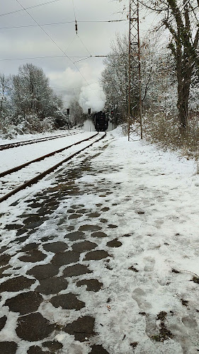 1320 Банкя