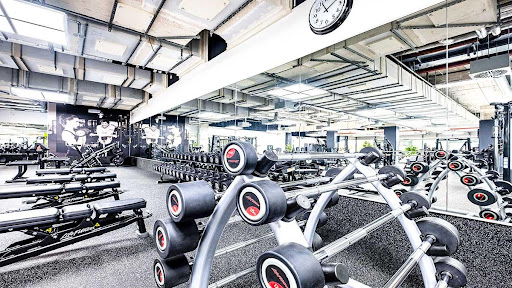 jumpers fitness Darmstadt