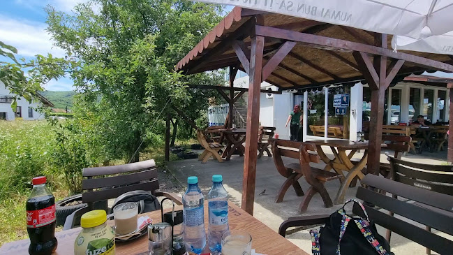 Opinii despre Trei Haiduci în Buchin - Restaurant
