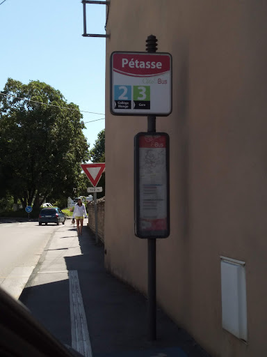 Petasse