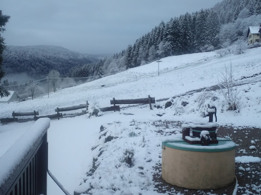 La Charbonnière Gerardmer - Thumbnail