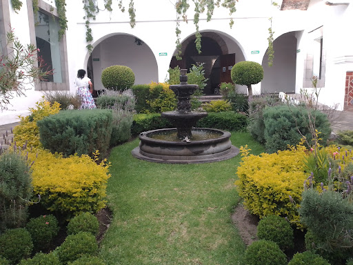 Ex Hacienda - Thumbnail