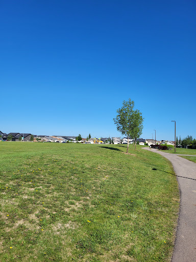 Swick Park - Visual