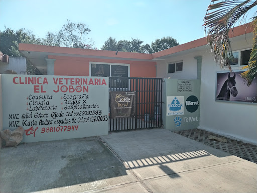 Clinica veterinaria El Jobón