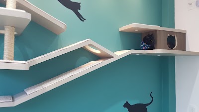 veterinary-care