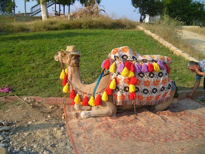 Photos of Eftalia Resort Hotel