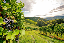 POSSiBiLE AGRi à Vic-Fezensac