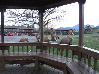 Photos of Discovery Lodge