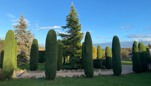 Photo de ALLO FAB' SERVICES à Moidieu-Détourbe (38440)