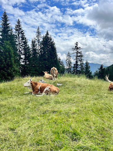 Brander Alm - Thumbnail