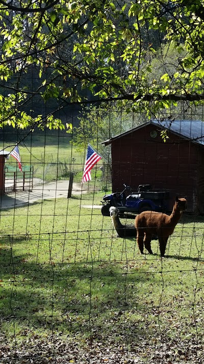 Blackberry Hill Alpacas