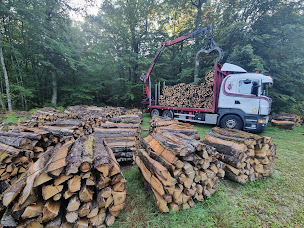Photo n°2 de BOISFOREST PINGOUROUX Alexis à Bersaillin (Négociant en bois)