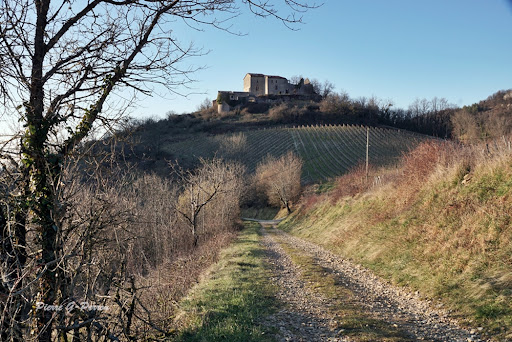 Photo de Maison de retraite Le Château de Valence à Ambronay (01500)
