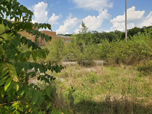 Regent Park - Thumbnail