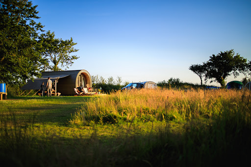 Stackpole Under The Stars - Thumbnail