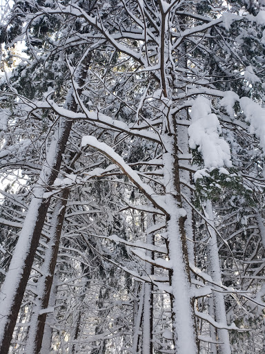 The Canty Trail - Thumbnail