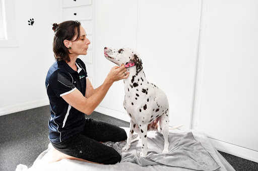 Holistic Animal Physiotherapy - Thumbnail