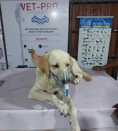 Bino Bot Mobile Veterinary Services in Pathimari, Kamrup, Assam
