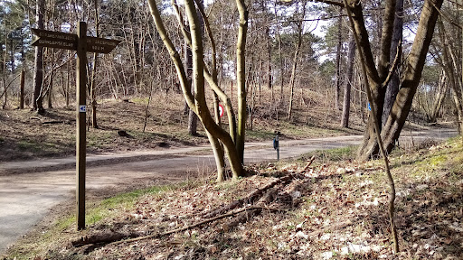 Kachelduin route - Staatsbosbeheer - Thumbnail