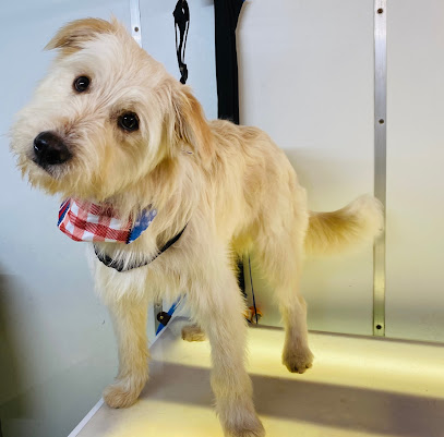 Posh Paws Mobile Pet Salon LLC