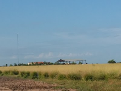 Photos of Fazenda MacLaren