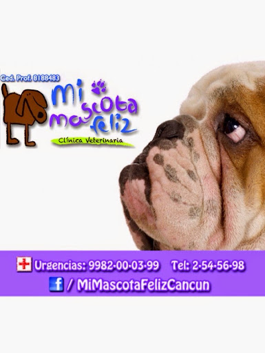 Veterinaria Mi Mascota Feliz