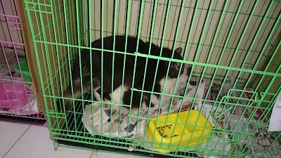 Photos of Garden Petshop 9