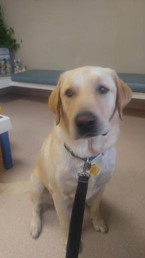 Trinity Pet Clinic - Thumbnail