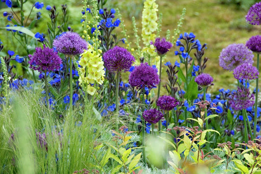 Lemo Gartendesign - Thumbnail