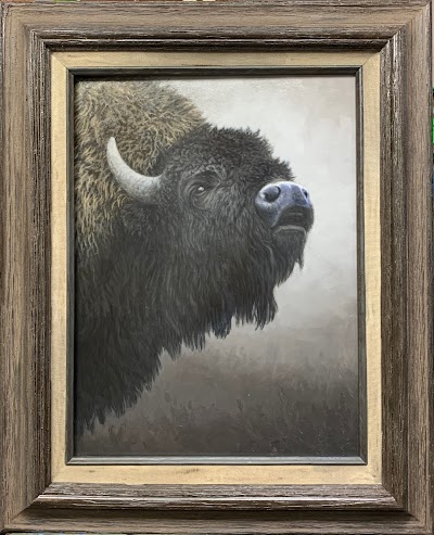 Zach Wildlife Art