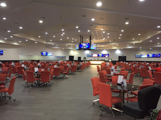 Bingo Gran Castelló - Thumbnail