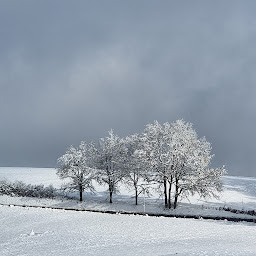 Photo n°34 de Le Salon De Vauban à Les Cammazes (Salon de thé)