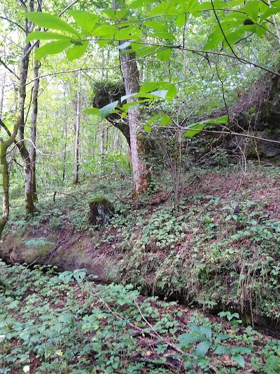 Shoemaker State Nature Preserve