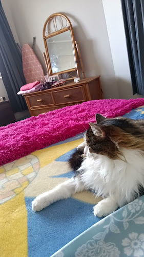 SPCA Whangarei Centre