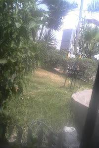 Libreria Bazar Medalla 4