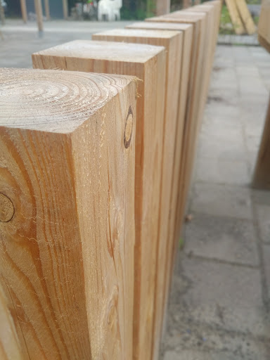 Treftuin Roden - Thumbnail