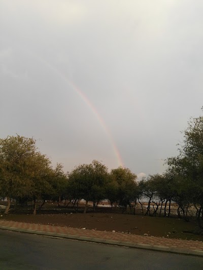 Bilal bin Rabah mosque - the country