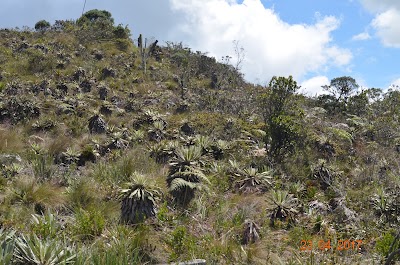 Photos of Aventura Muisca