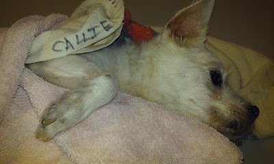 Photos of Turkey Creek Animal Hospital