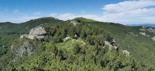 Foresta di Monte Nero - Thumbnail