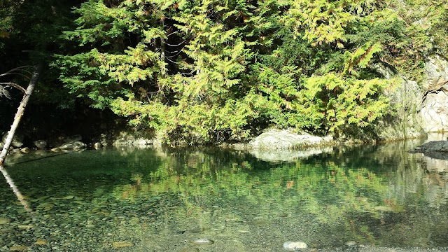 Lynn Canyon Suspension Bridge