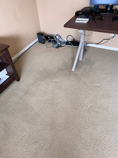 Praise Cleaning Services - Visual