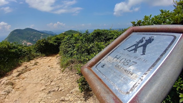 Dragon's back trail