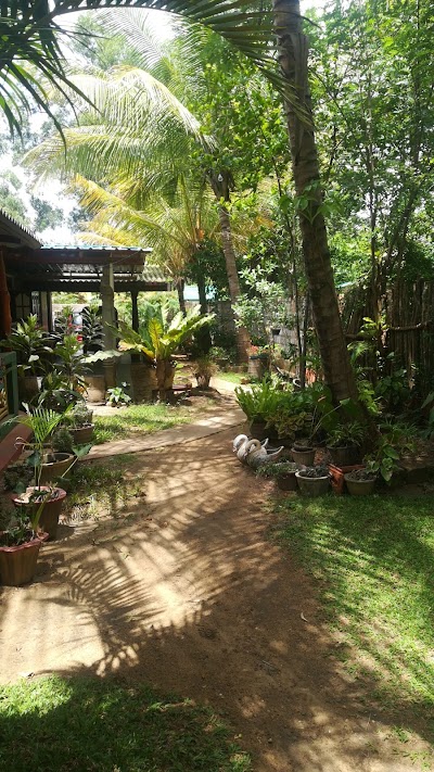 Photos of Bandula Homestay Sigiriya
